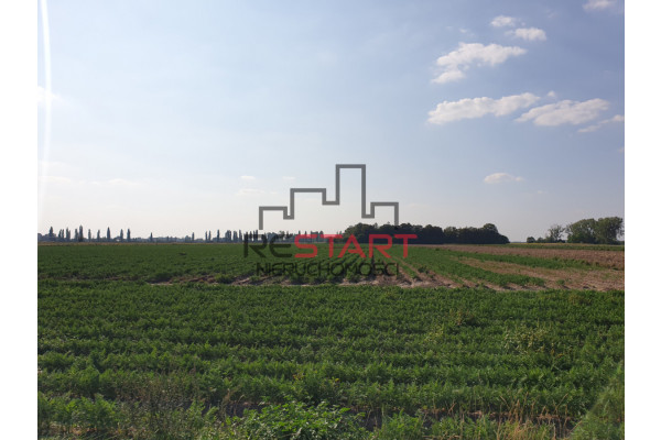 powiat grodziski, Żuków, Grunt Rolny 3, 2 HA